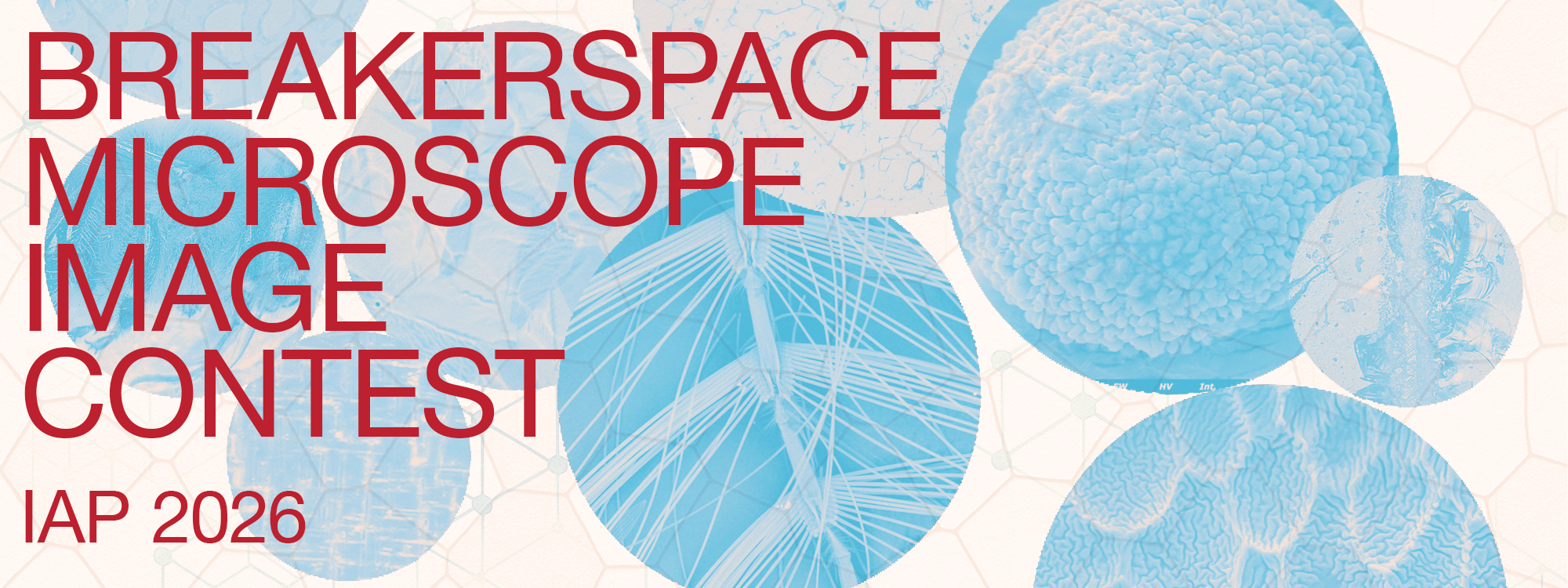 Breakerspace Microscope Image Contest 2026