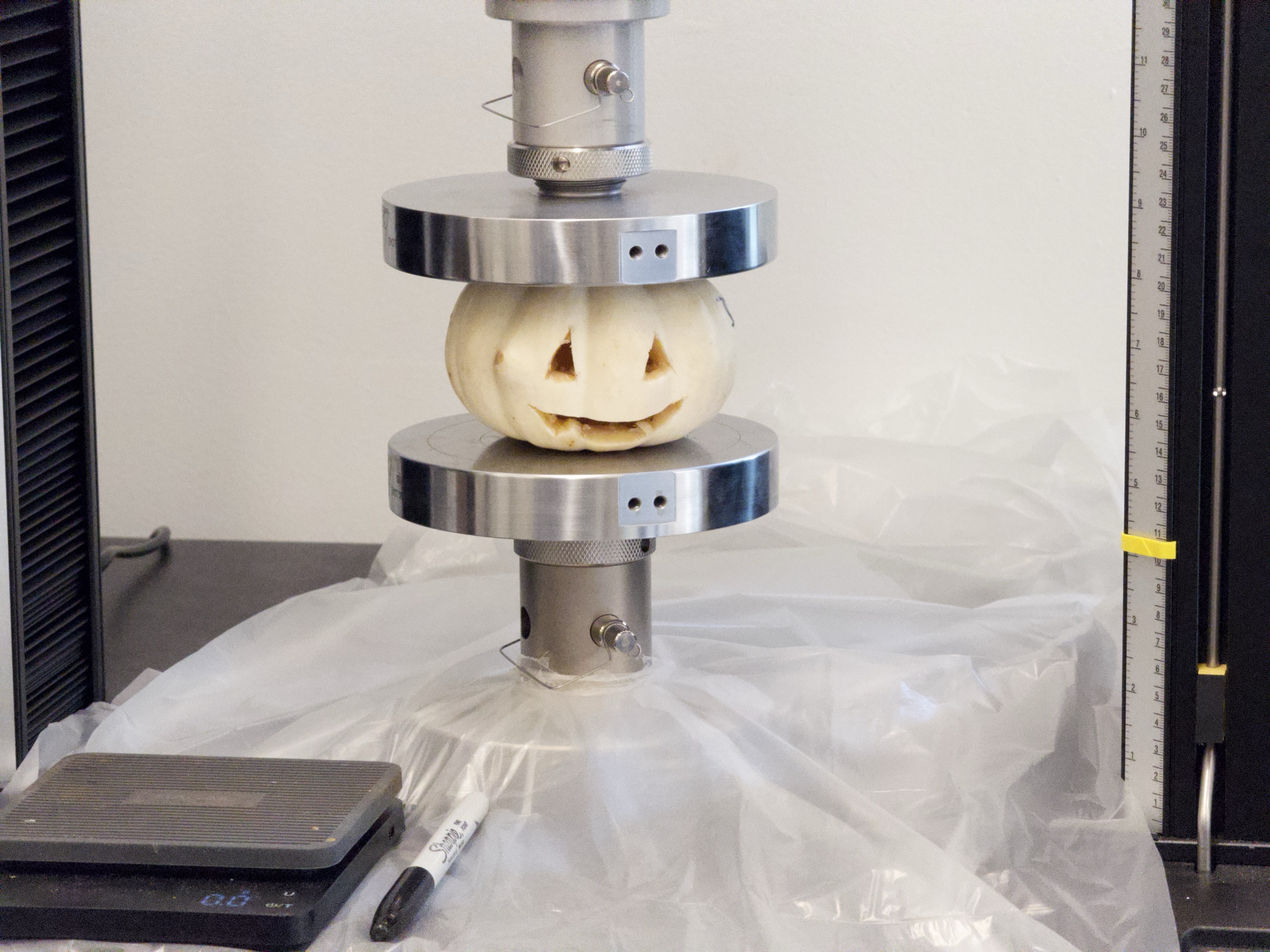 A carved pumpkin centered between the Instron compression platens before loading begins.